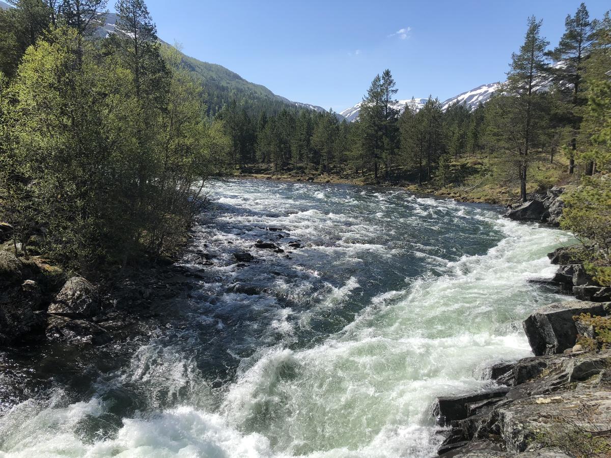 Furuly Camping Nordberg Dış mekan fotoğraf